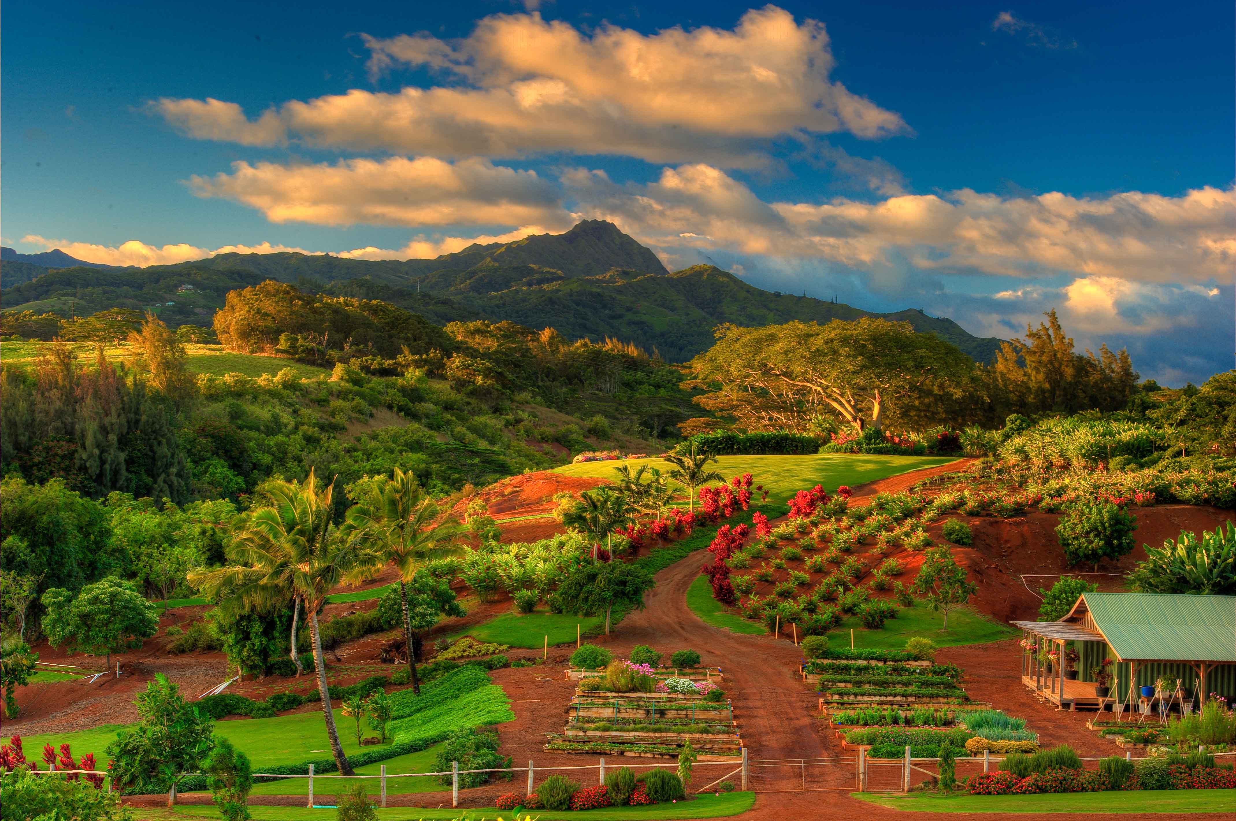 lush lakeside farm and garden set in a valley at Kukui39;ula, a luxury 