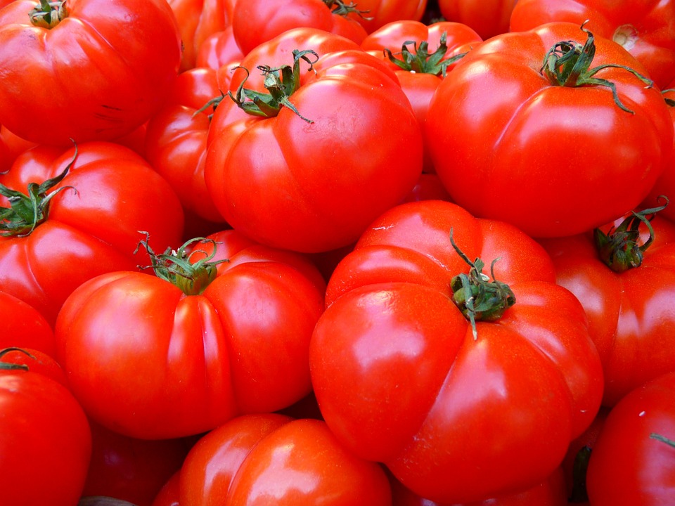 tomatoes-5356_960_720